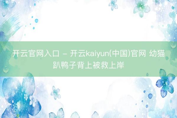 开云官网入口 - 开云kaiyun(中国)官网 幼猫趴鸭子背上被救上岸