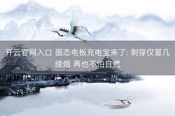 开云官网入口 固态电板充电宝来了: 刺穿仅冒几缕烟 再也不怕自燃