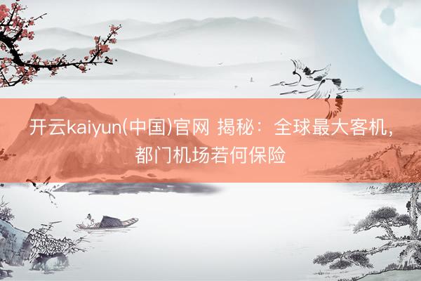开云kaiyun(中国)官网 揭秘：全球最大客机，都门机场若何保险