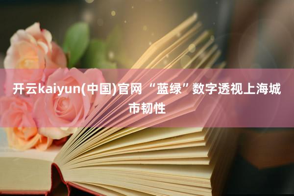 开云kaiyun(中国)官网 “蓝绿”数字透视上海城市韧性